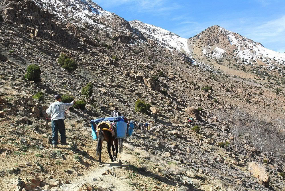 Retiro de Yoga en la Montaña