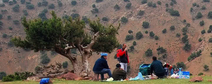 Retiro de Yoga en la Montaña