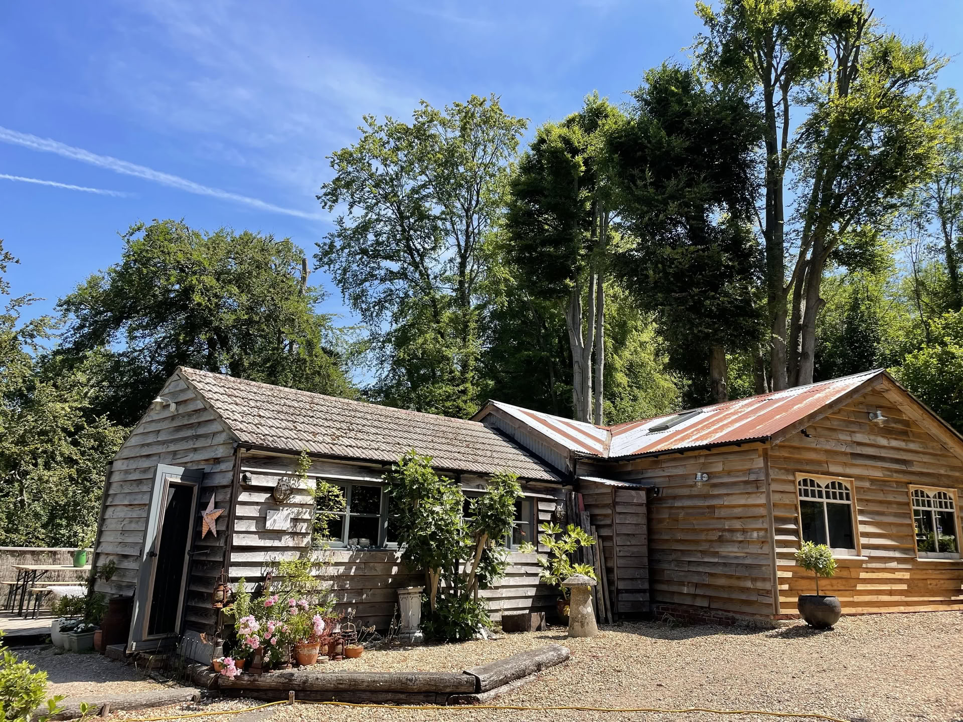 Día de Yoga en Bishopswood