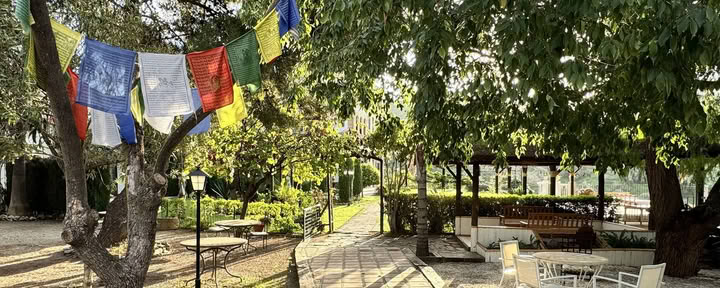 Spain Yoga Retiro - Improvers Level — Level 3 Iyengar Yoga Teacher Rachel Lovegrove