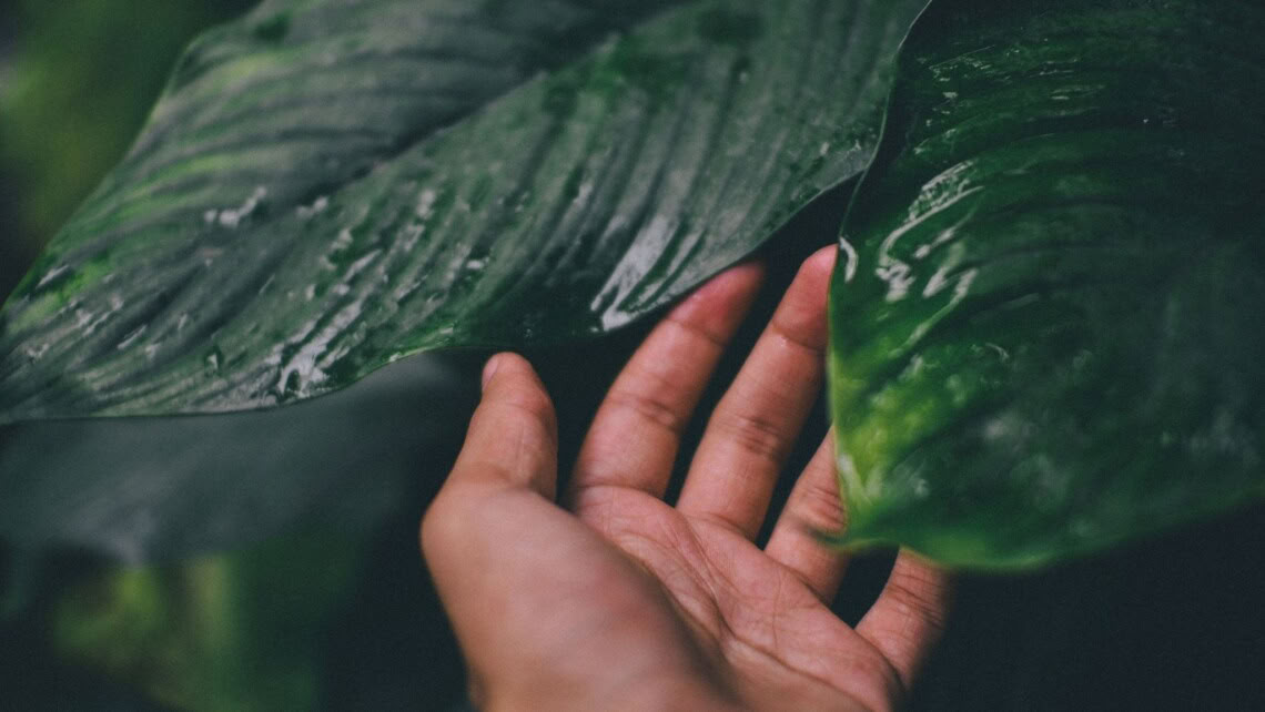 Introducción a la meditación de mindfulness