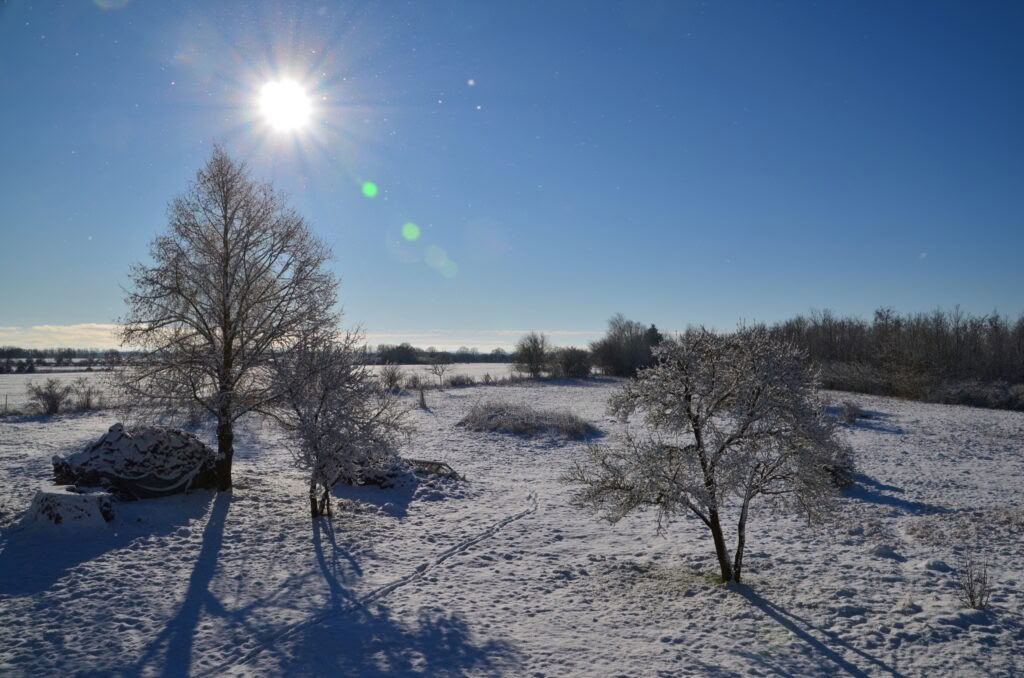 Semana de retiro: Apego y trauma del desarrollo