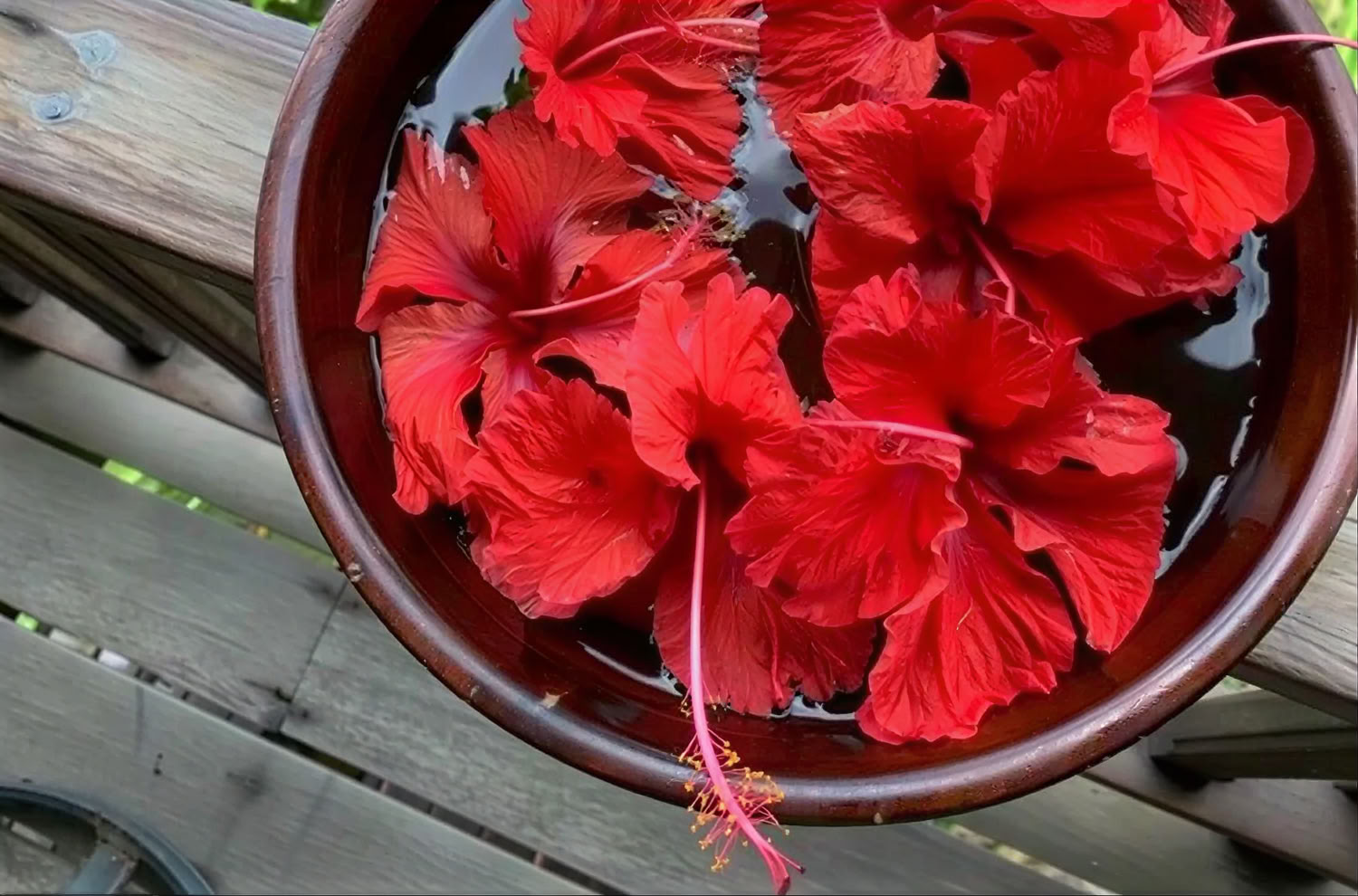 Paquete de Retiro de Bienestar Florecer