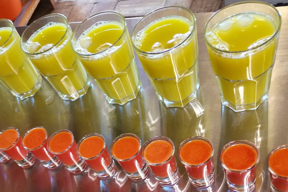 Juice Detox, Yoga y Wellness Retiro – 29 Ago 2026 - 05 Sep 2026