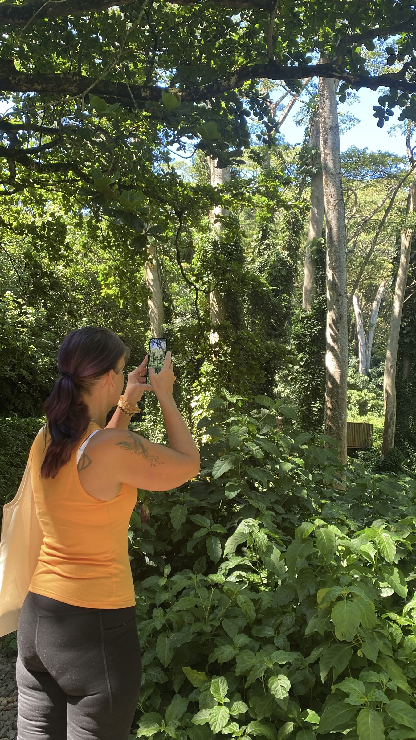 Retiro privado espiritual y de sanación de 3 días en Hawái