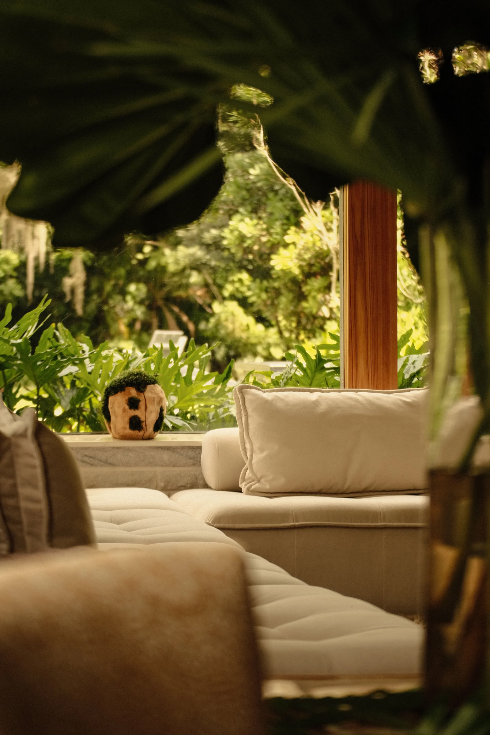 a retiro familiar de rewilding