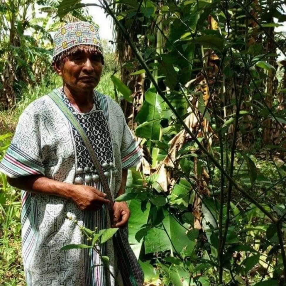 Ayahuasca Peru Retiro con Ceremonias Ancestrales (5 Días)