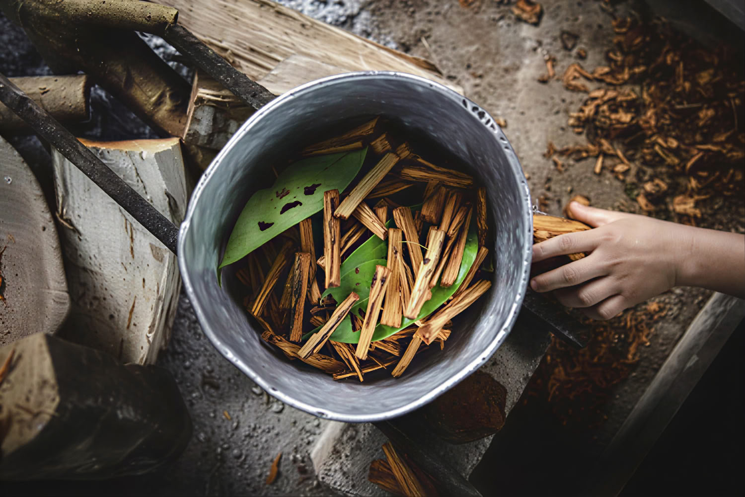 Ayahuasca Peru Retiro con Ceremonias Ancestrales (5 Días)