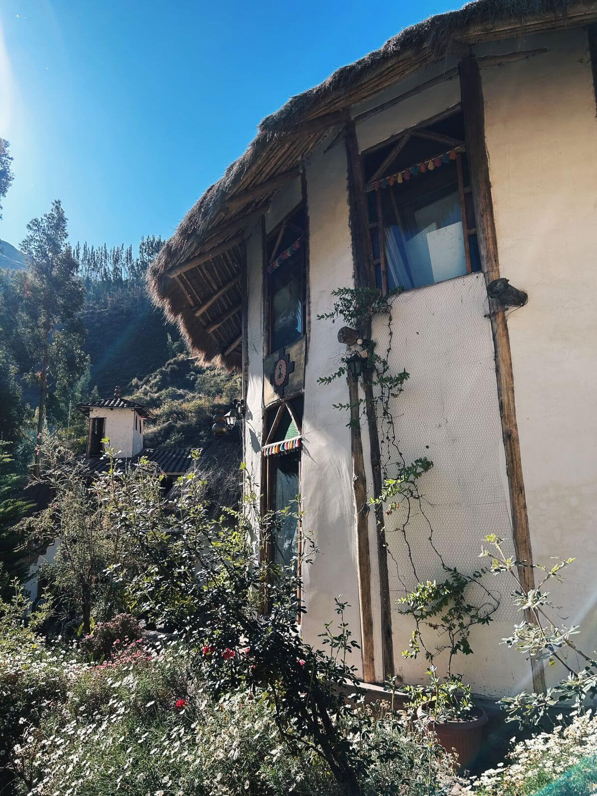 Retiro privado de ayahuasca con rituales andinos (3 días) Retiro de ceremonia de ayahuasca con rituales andinos (privado, 3 días) 2 sesiones de ayahuasca