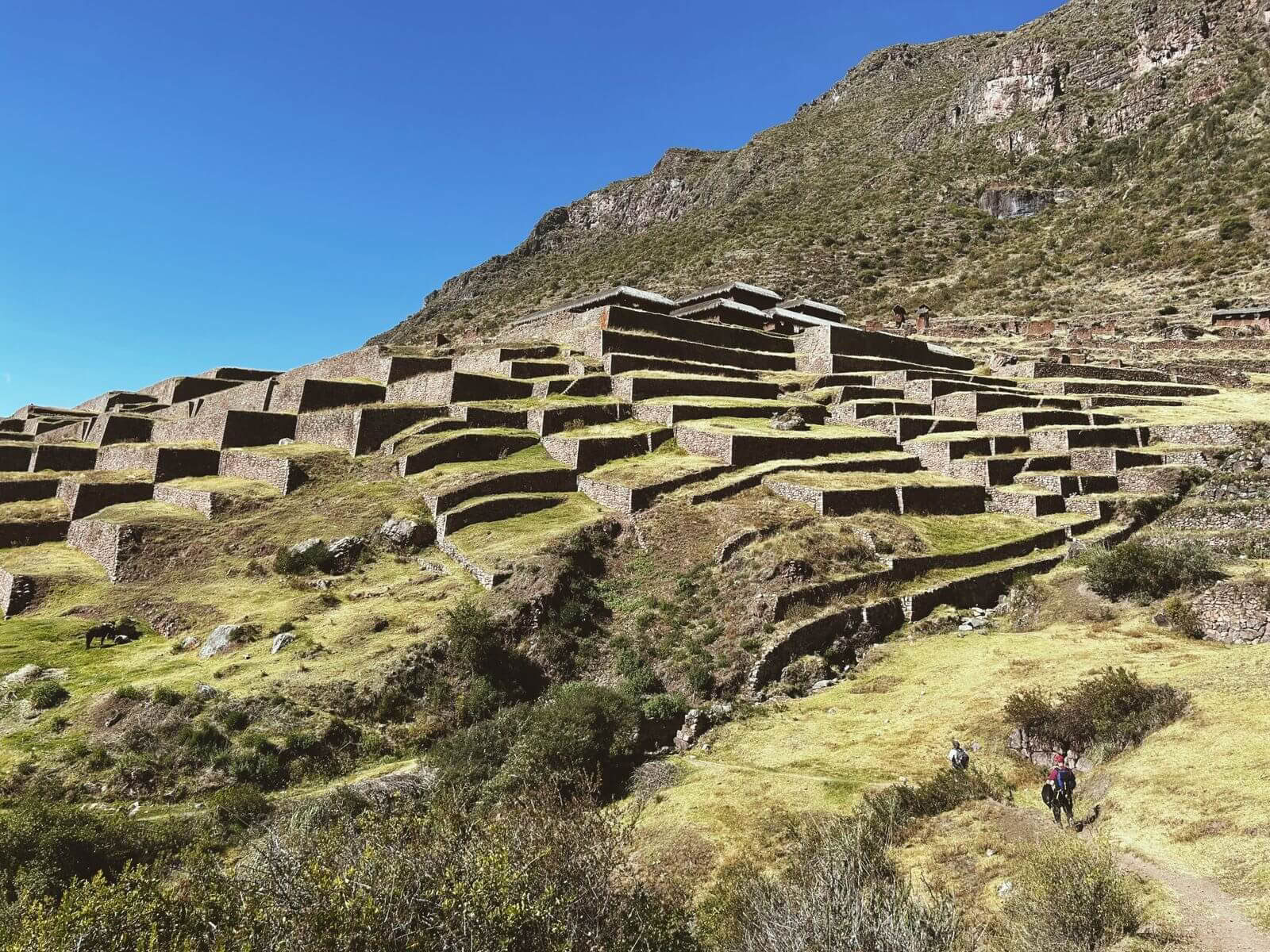 3 Días de Trek Espiritual a Huchuy Qosqo con Medicina San Pedro