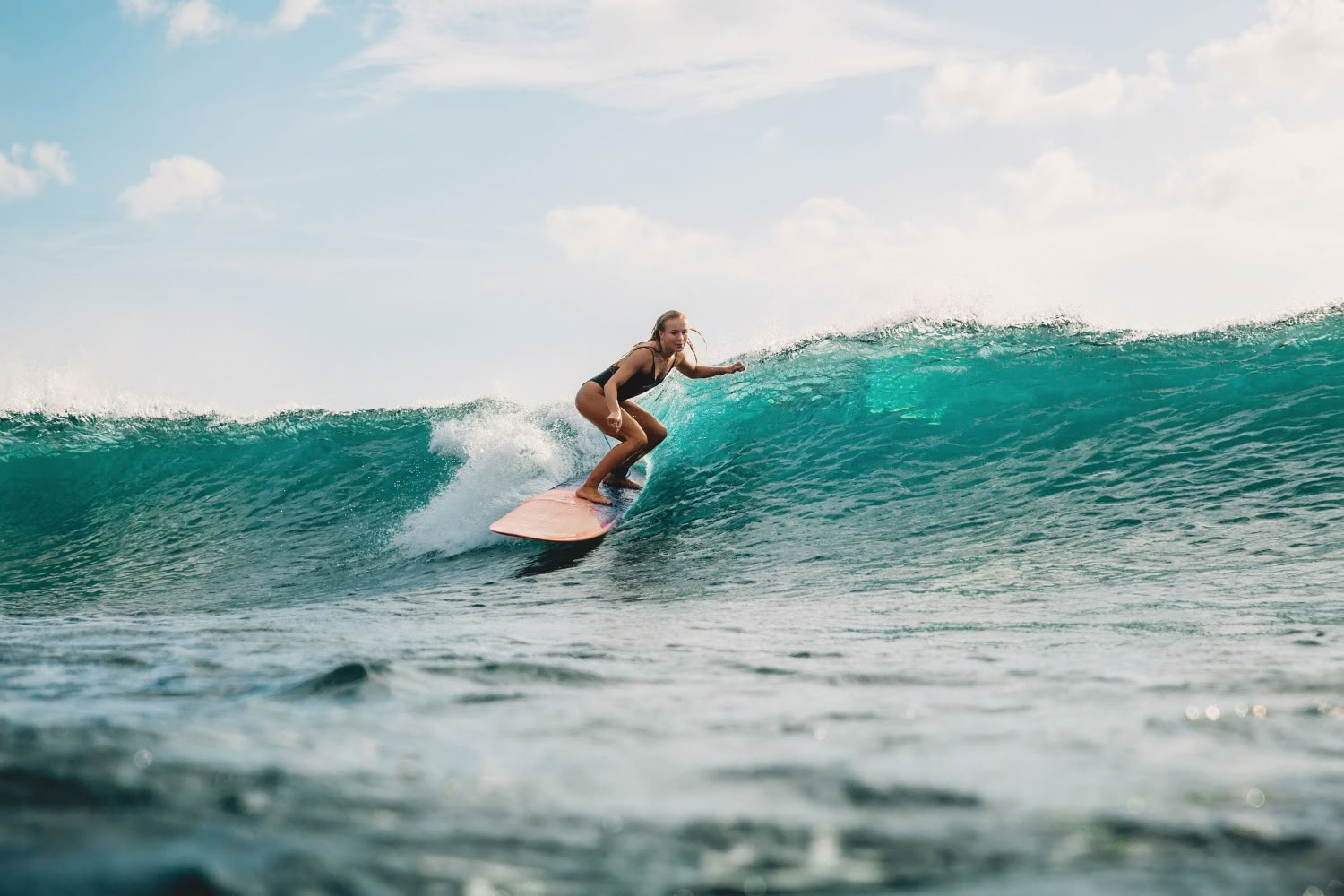 Surf y Fitness
