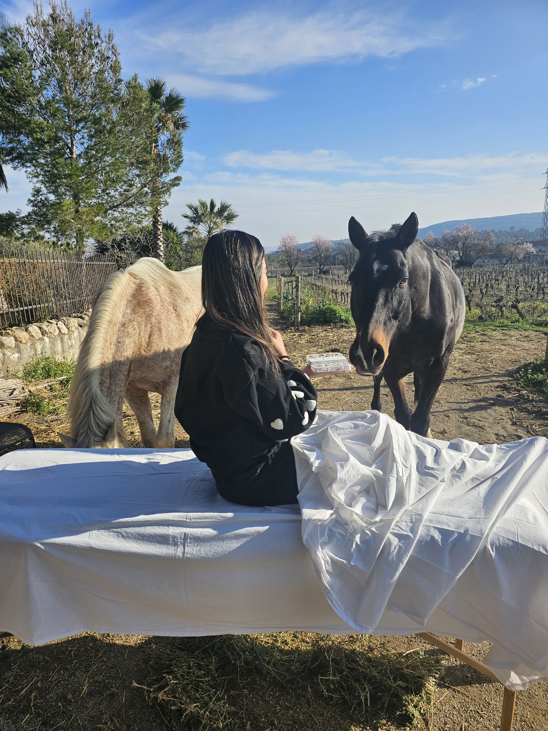 Yoga y sanación con caballos: retiro de 5 días