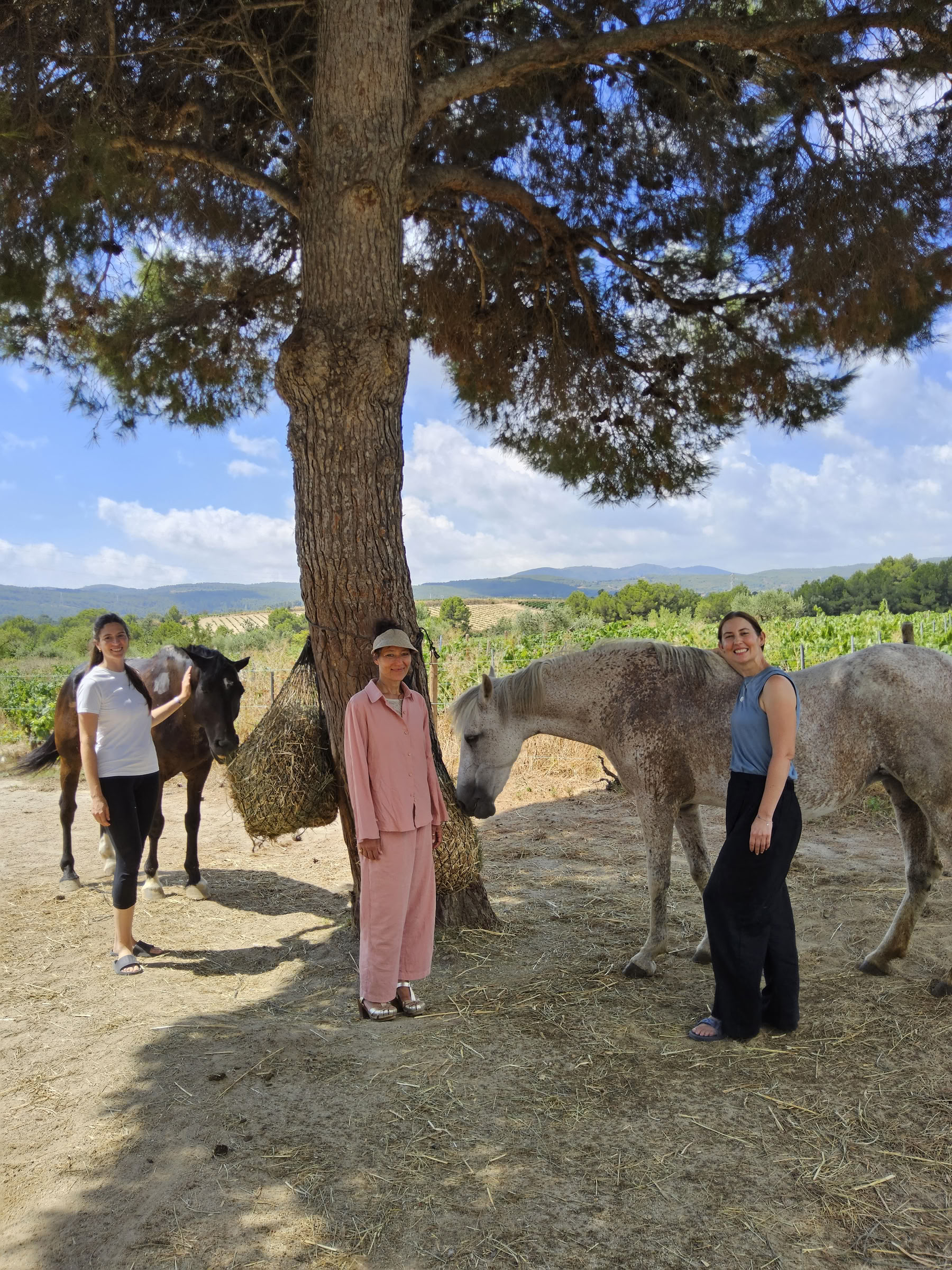 Yoga y sanación con caballos: retiro de 5 días