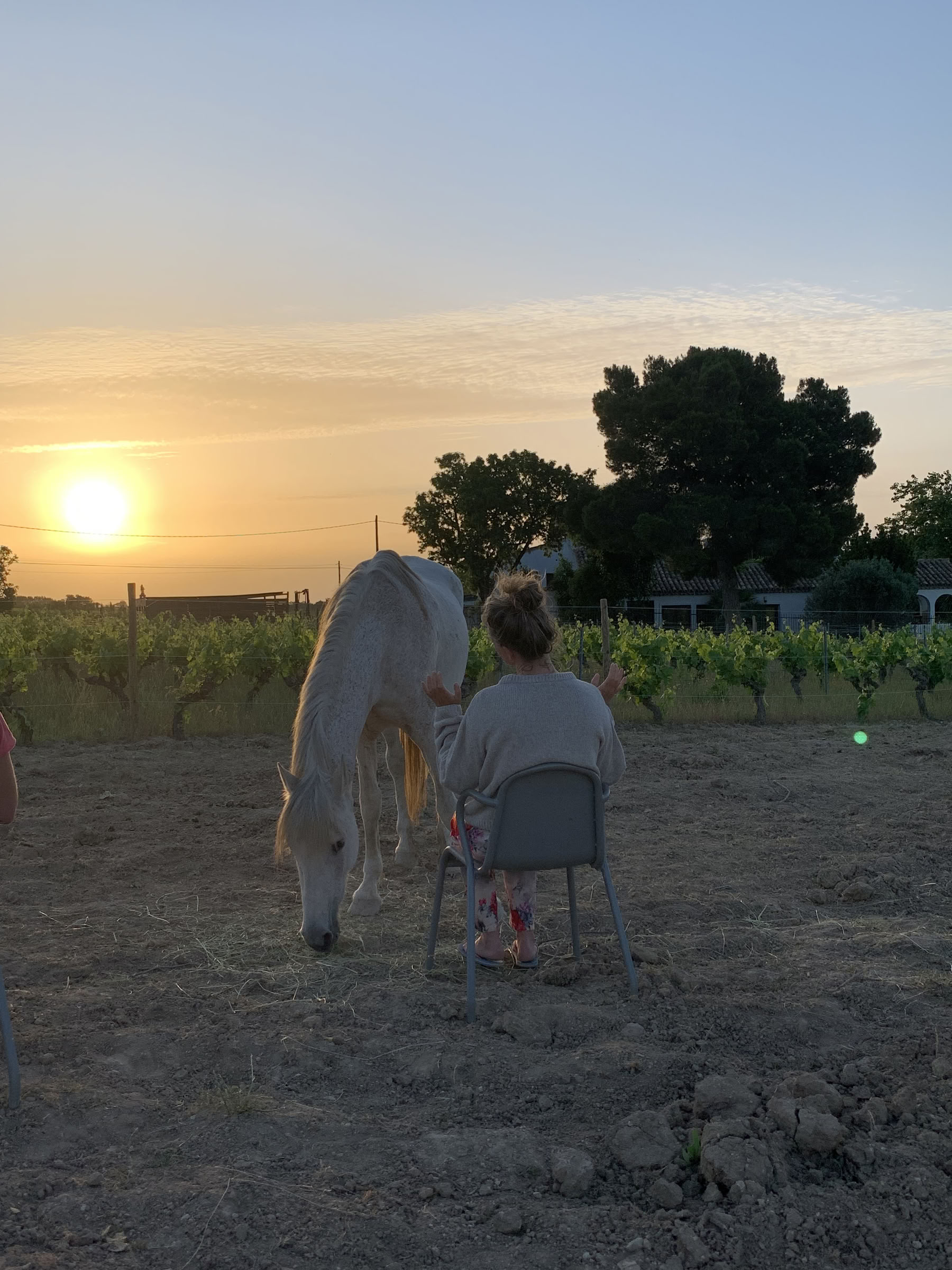 Yoga y sanación con caballos