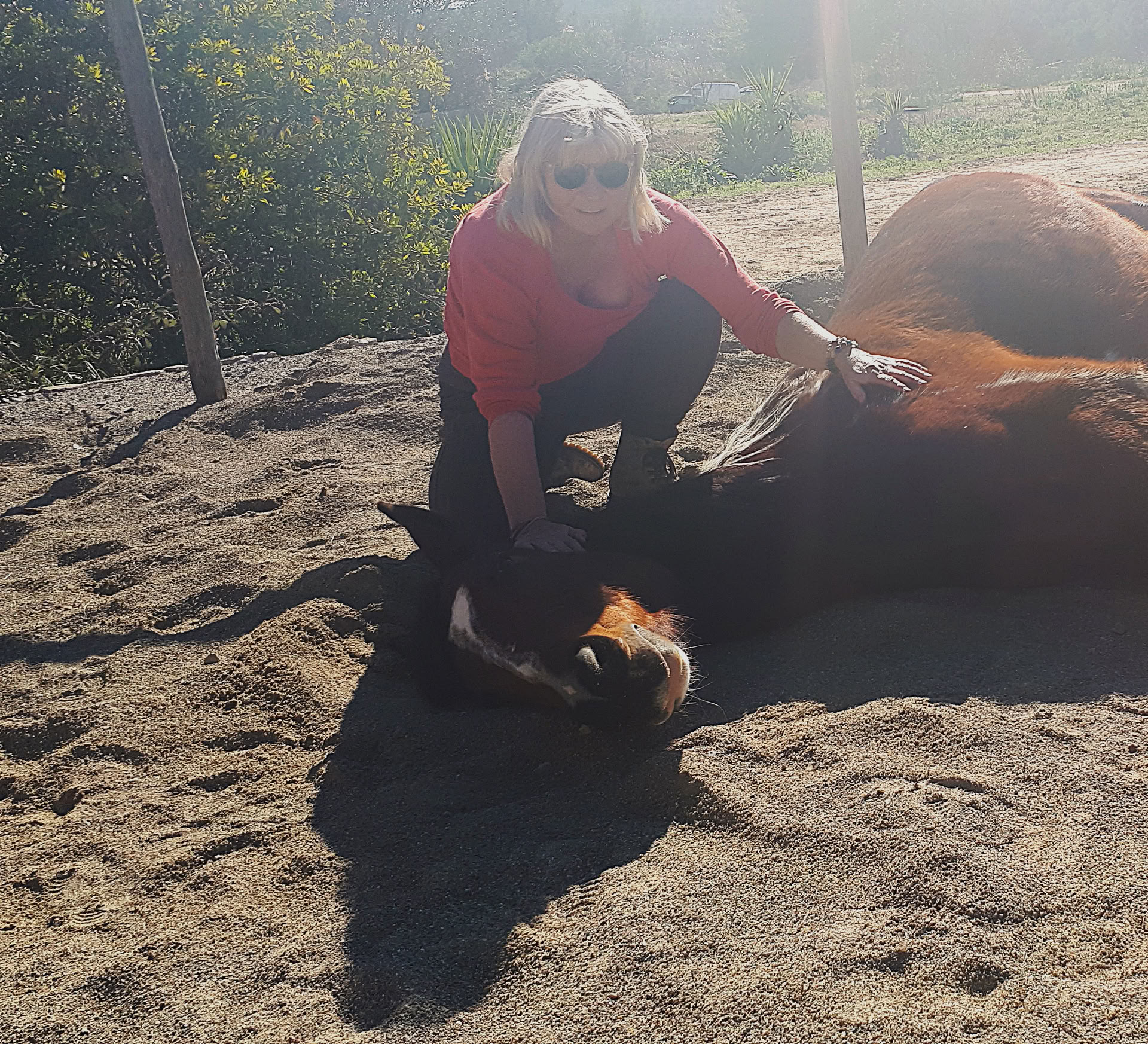 Yoga y sanación con caballos