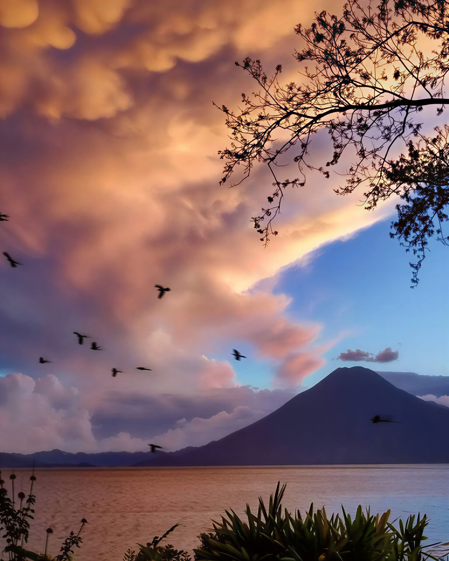 Heart of the Earth: Yoga y Naturaleza Retiro
