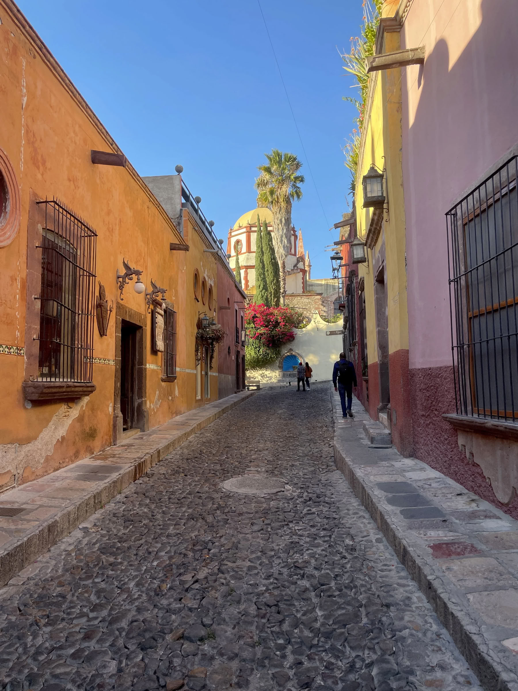 Traverse Mexico: Retiro de Yoga y Culinaria
