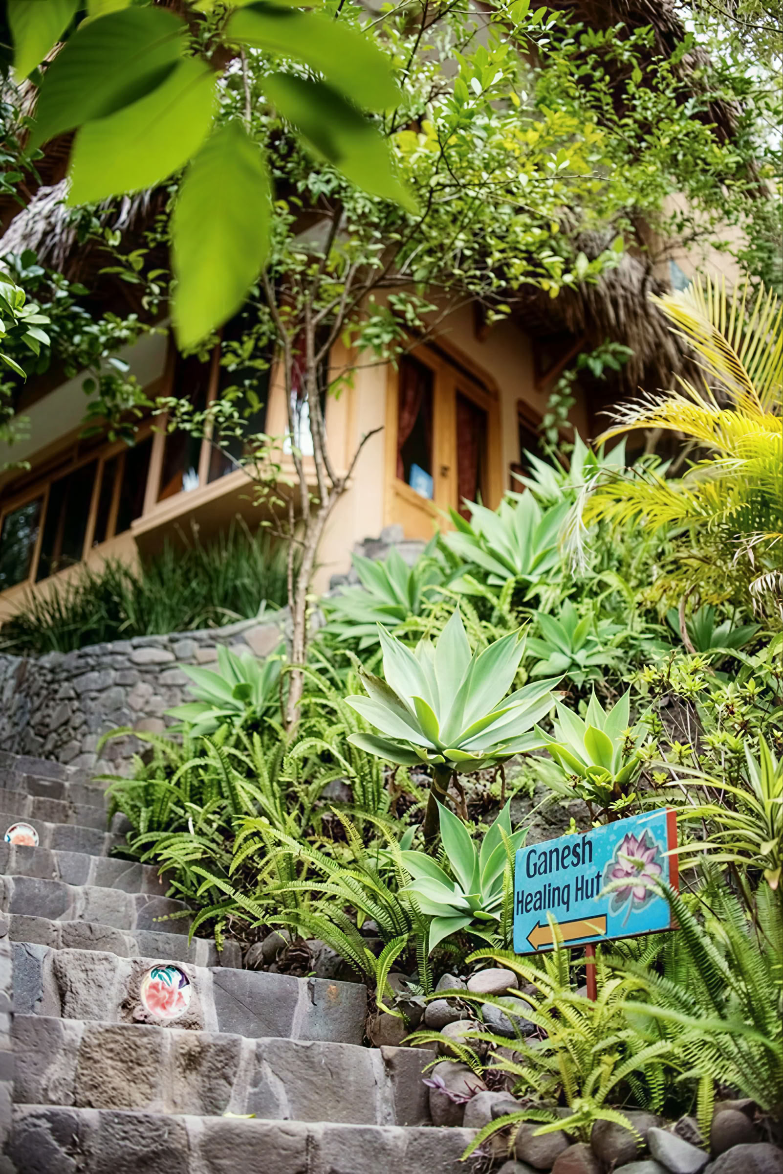 6 días Retiro de Yoga en Guatemala – 1-6 de septiembre de 2026 con Michelle Fajkus