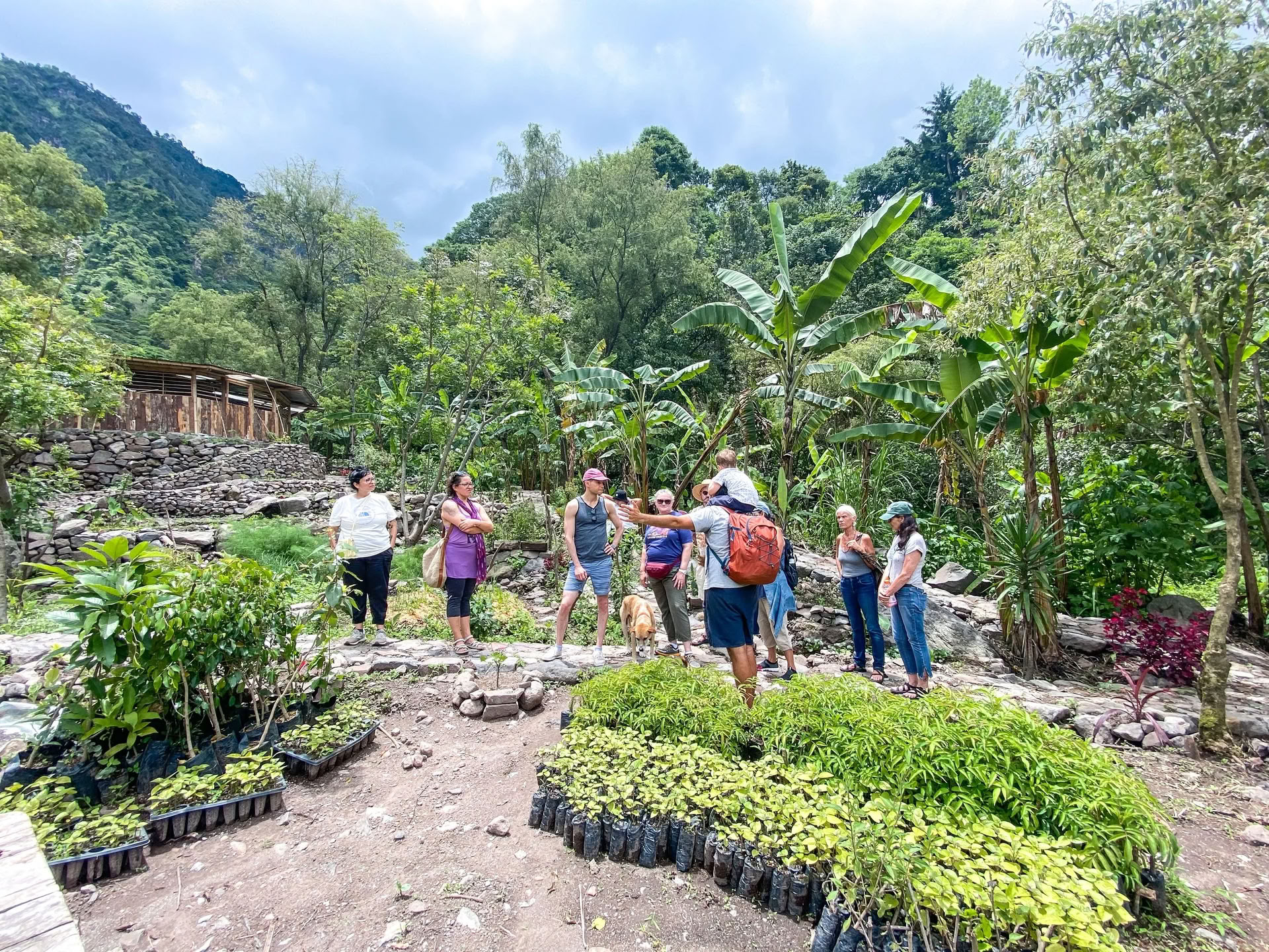 6 días Retiro de Yoga en Guatemala – 1-6 de septiembre de 2026 con Michelle Fajkus