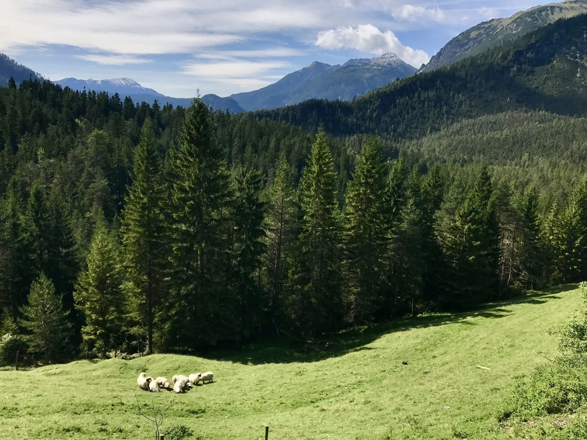 Yoga y senderismo en los Alpes austríacos