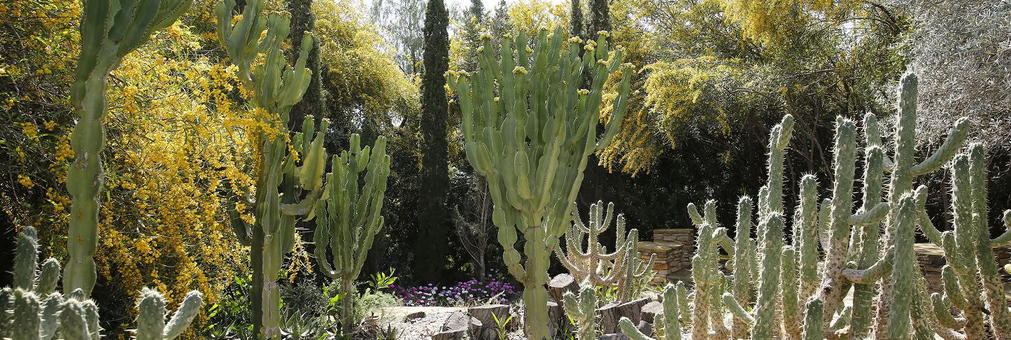 Retiro Dharma