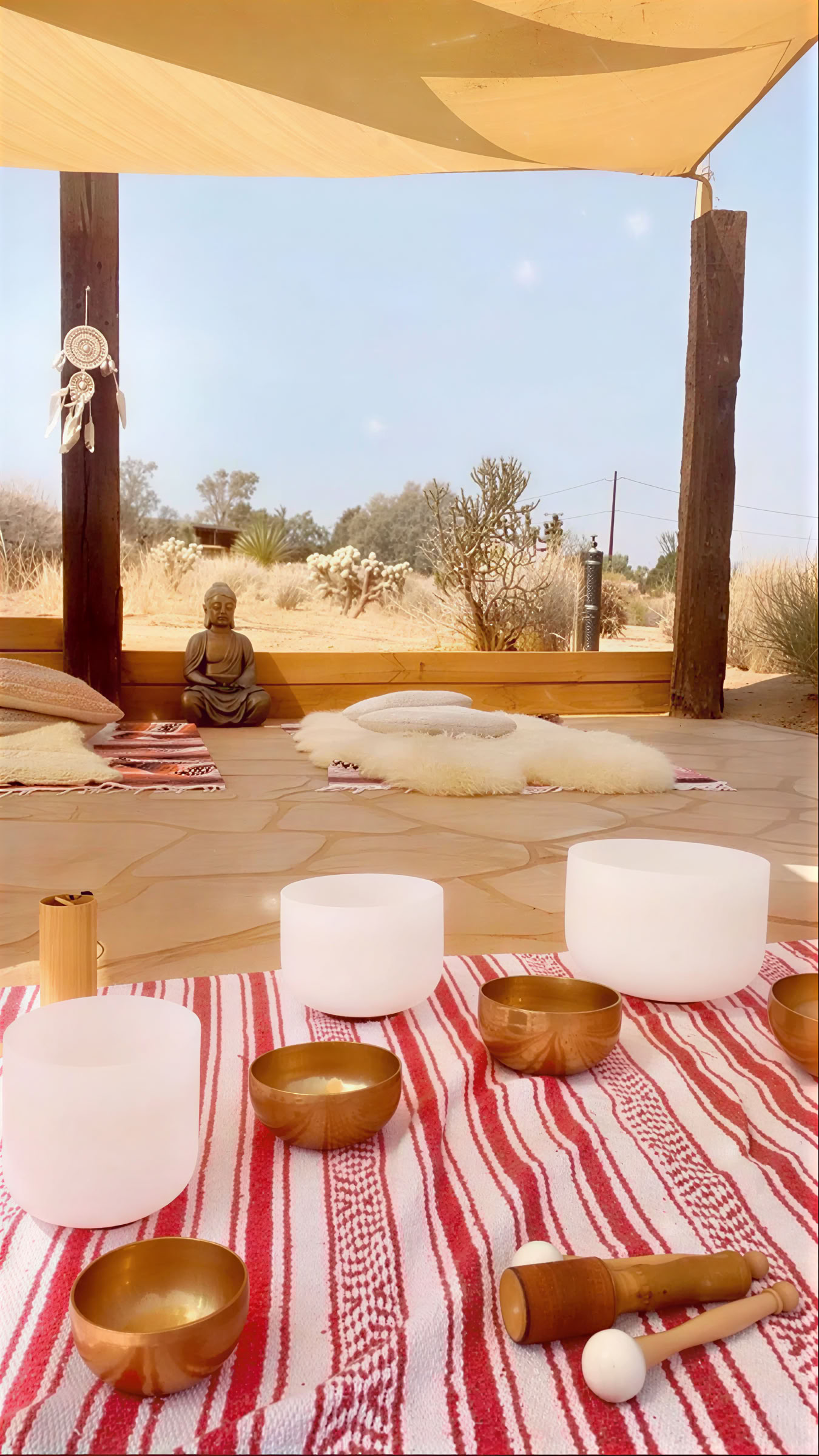 Retiro de un día Desert Om en Joshua Tree