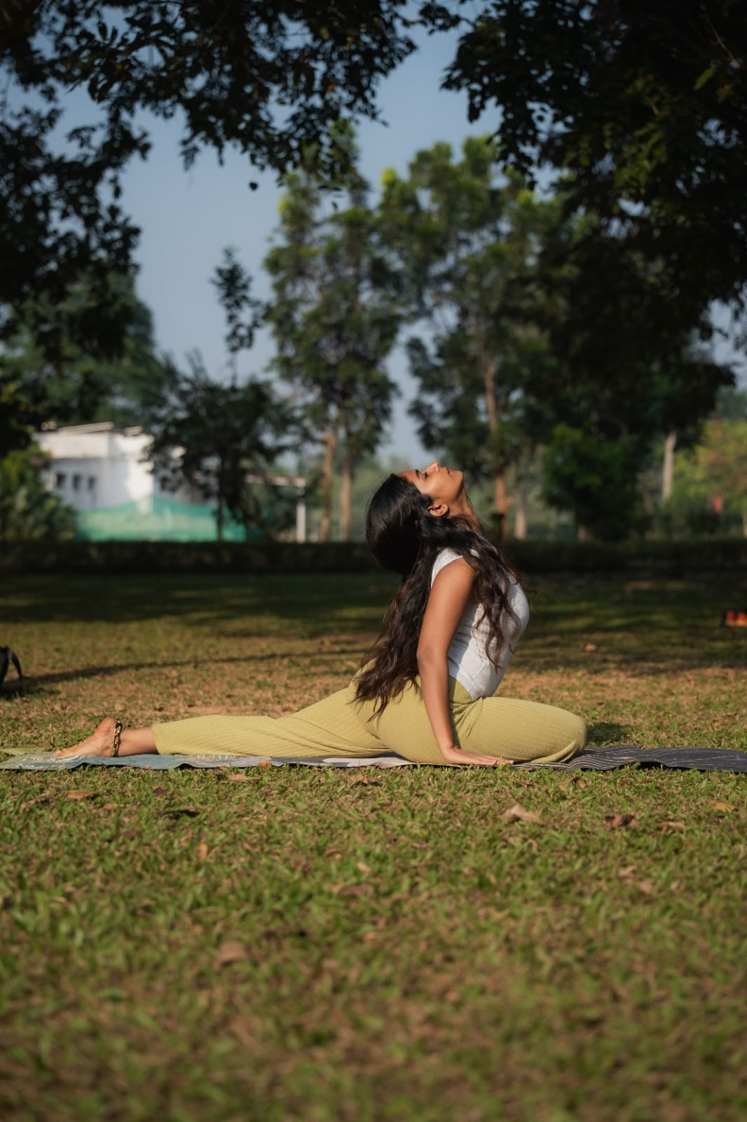 Regenerative Reset Retiro