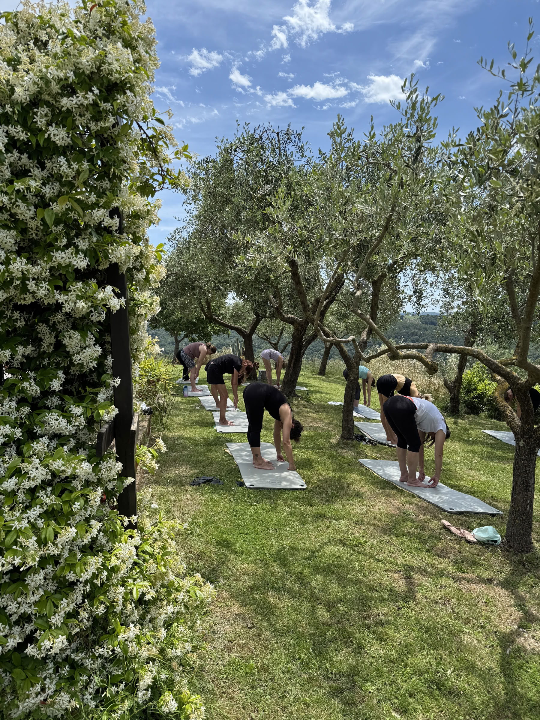Creating Alignment | Retiro en Cuerpo y Mente