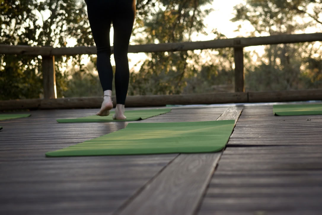 Yoga Con Elefantes