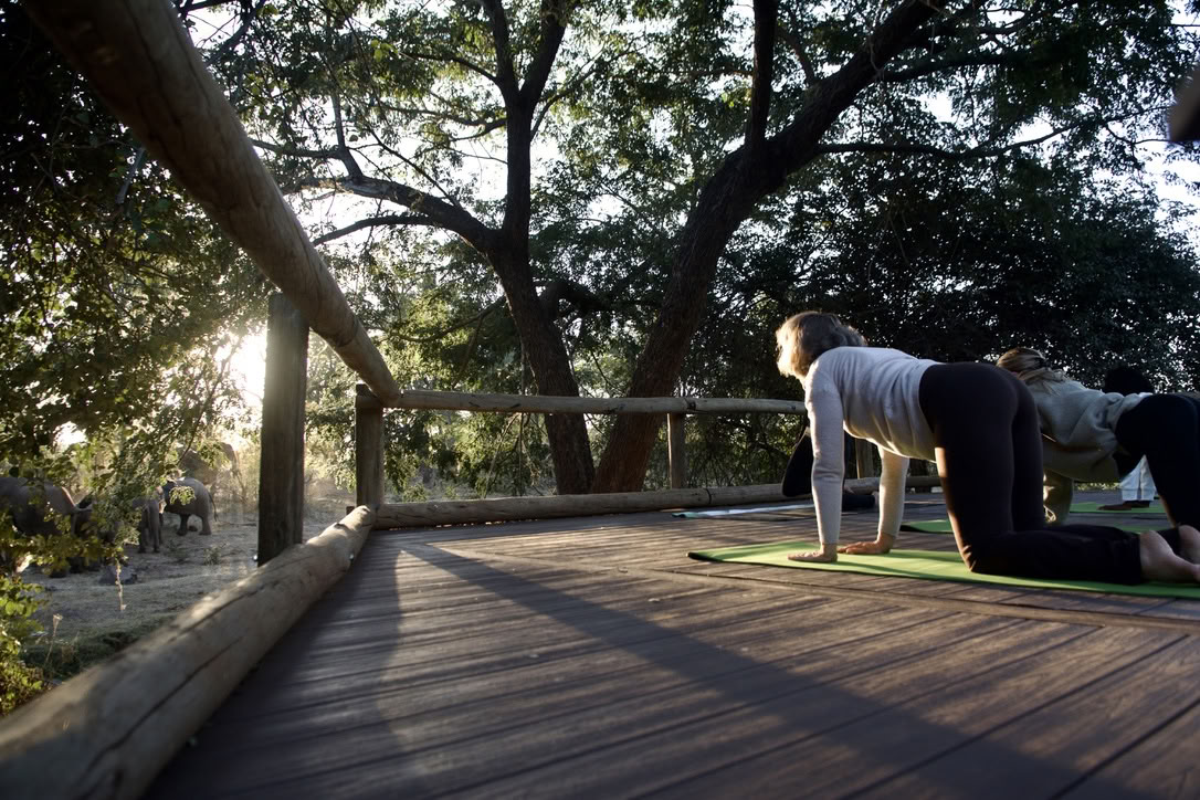 Yoga Con Elefantes