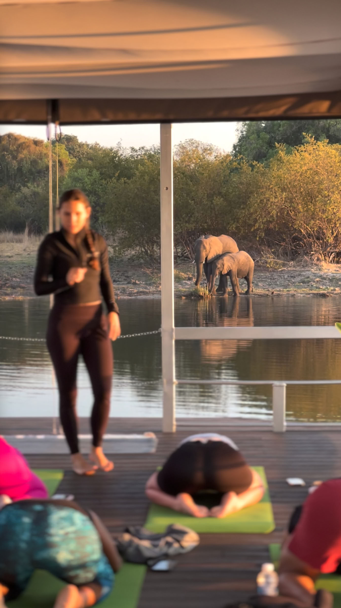 Yoga En El Zambezi