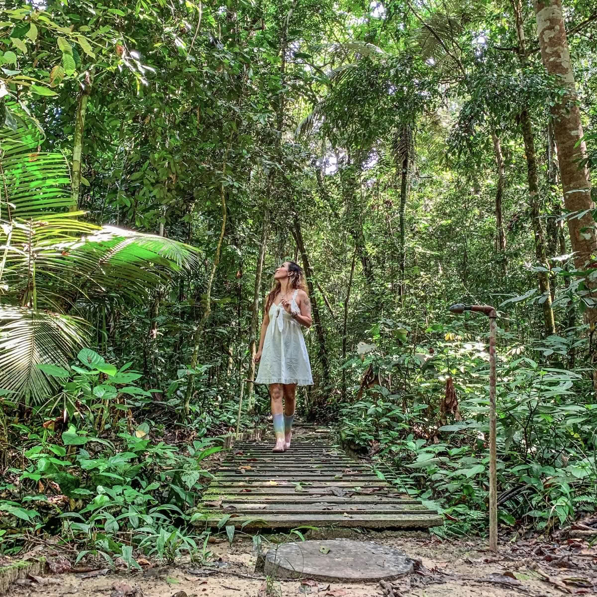 Retiro de Armonía y Despertar con Ayahuasca Diciembre 2026 (12 días)