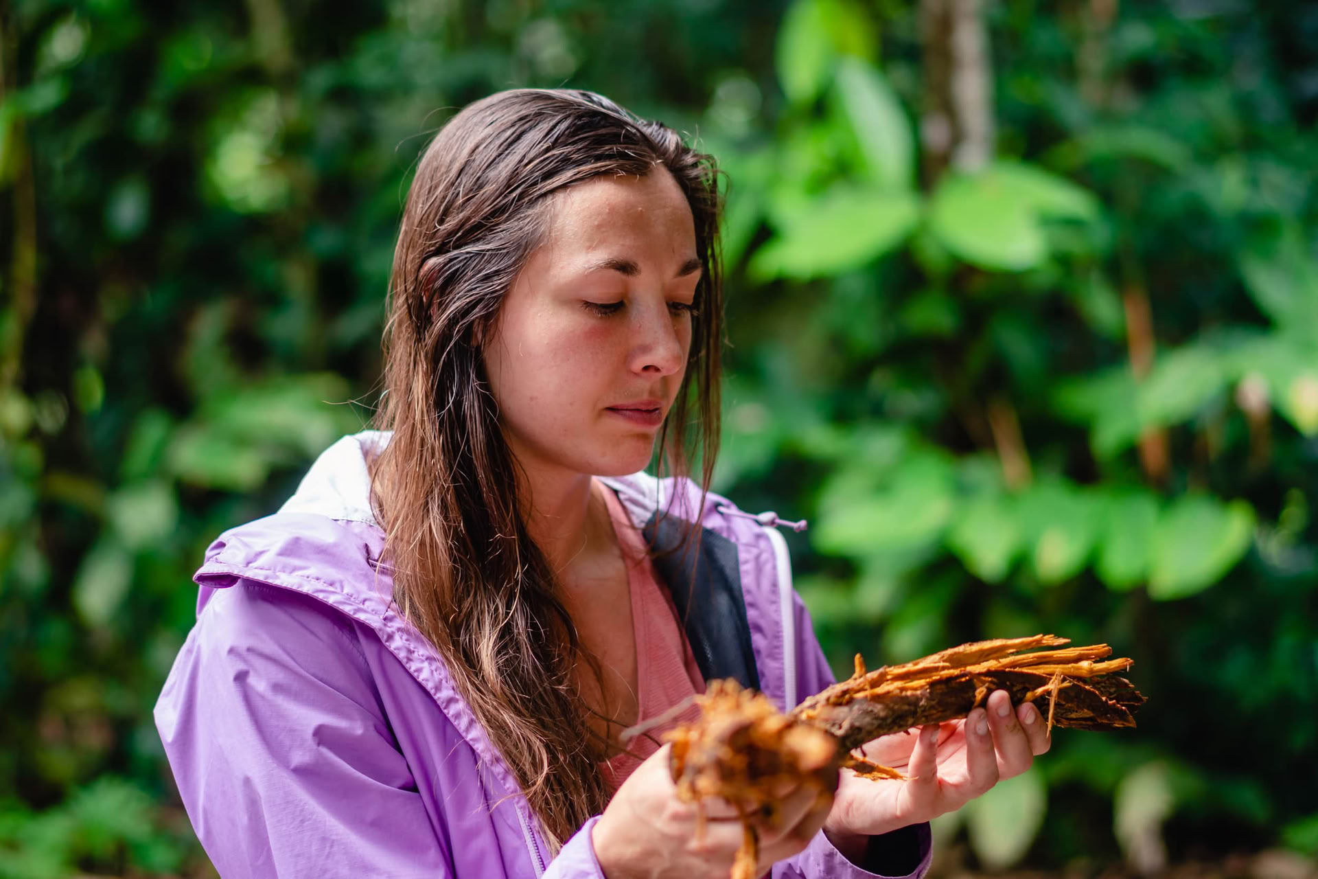 Ayahuasca Agosto 2026 Retiro de Renovación (12 Días)