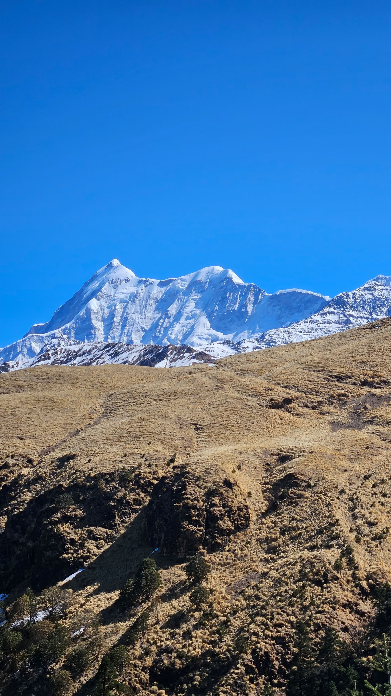 Bedni Bugyal Trek – 9 al 13 de julio de 2026