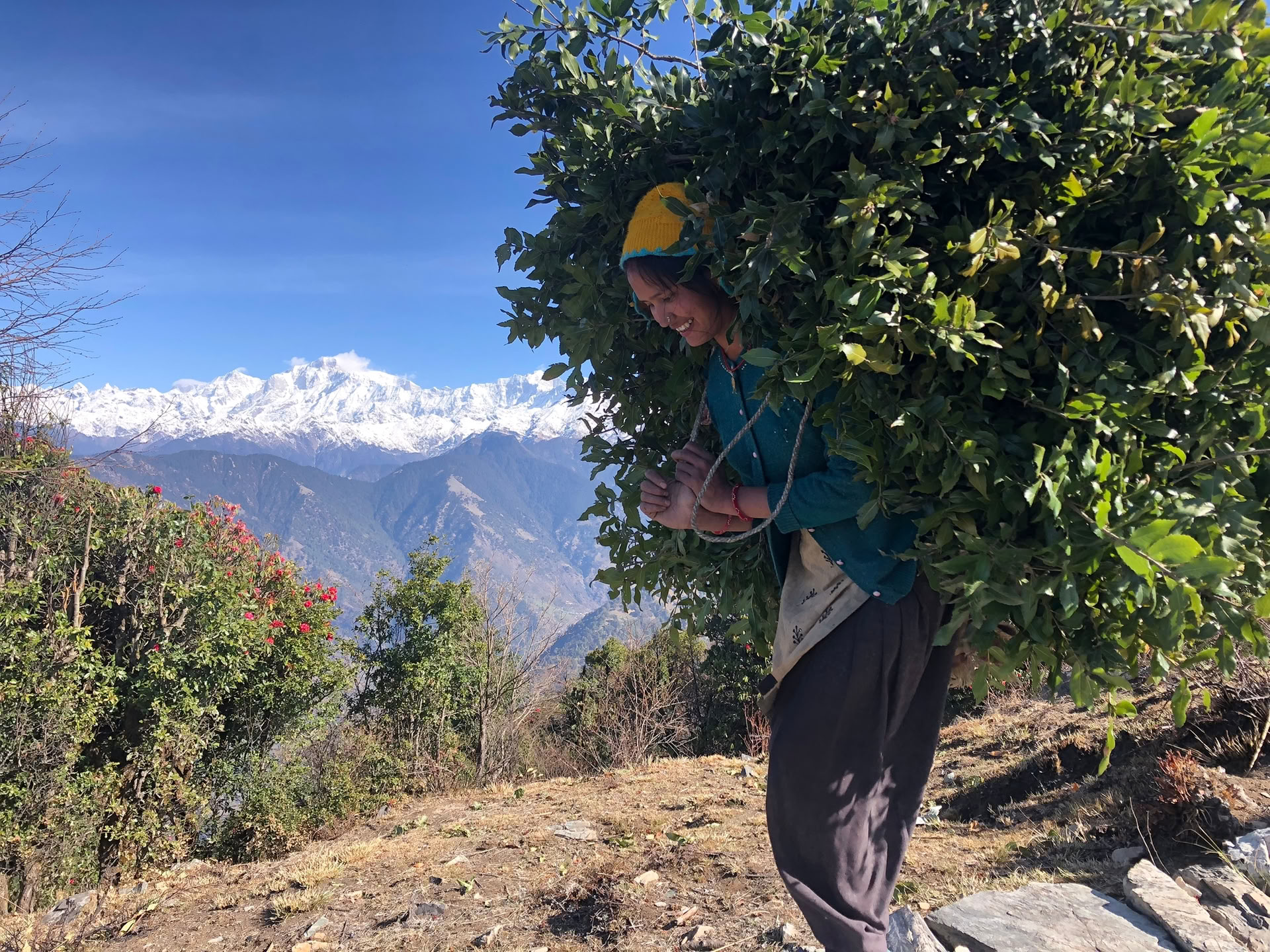 Trek de Chopta-Tungnath