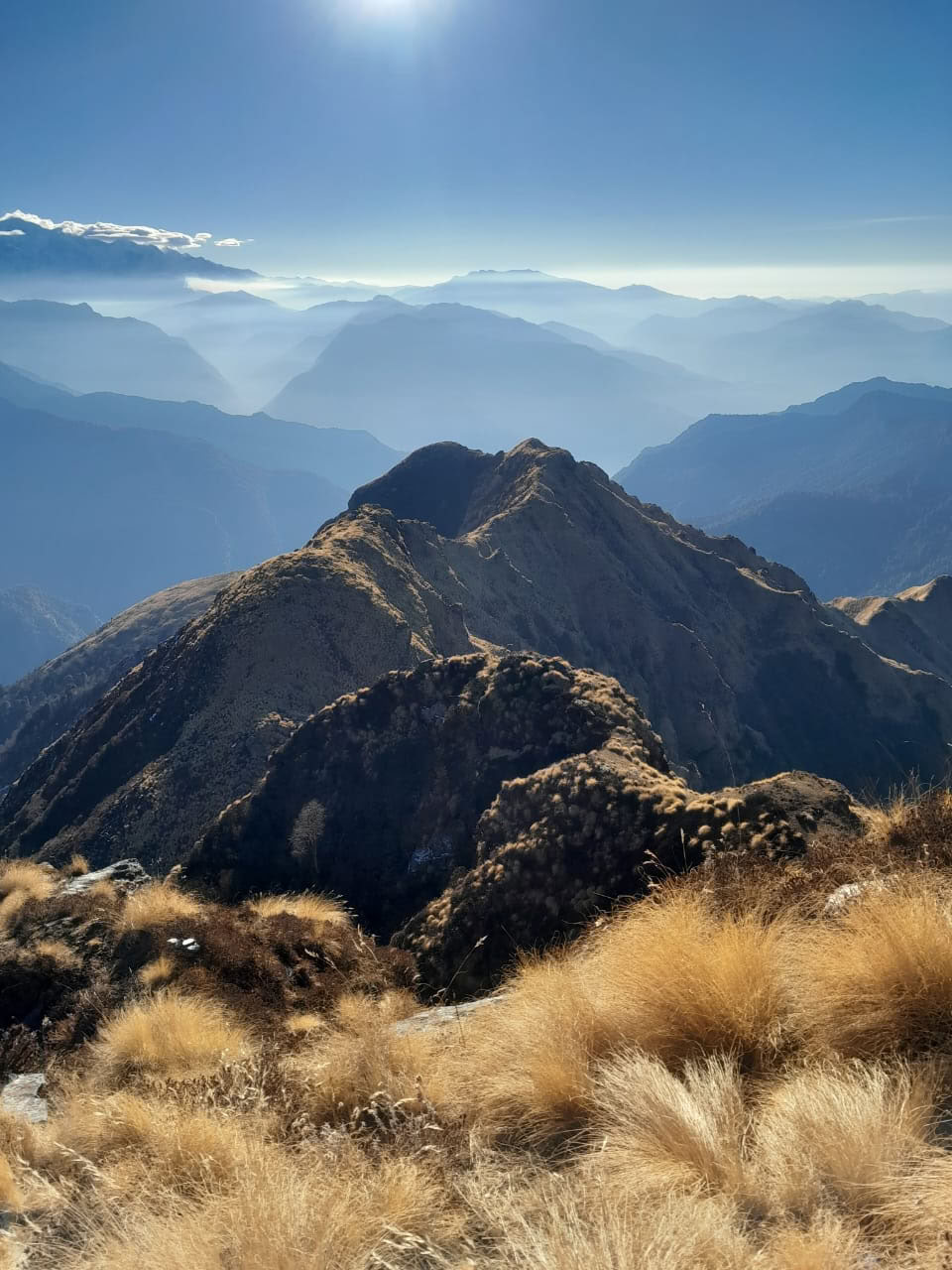 Trek de Chopta-Tungnath
