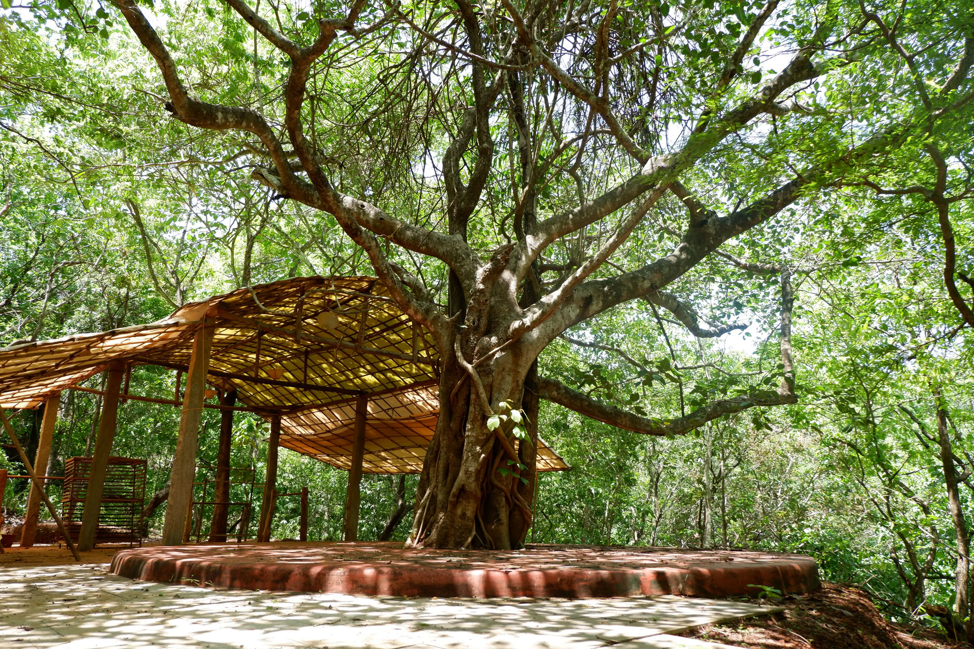 Retiro de Yoga Saundarya