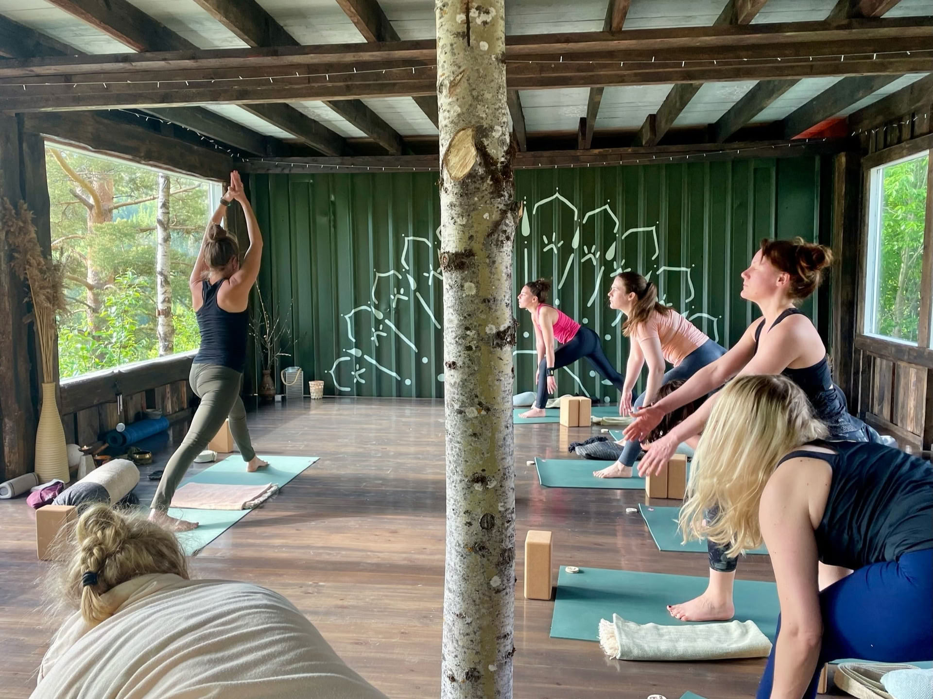 Disconnect, relax and immersion into nature retiro