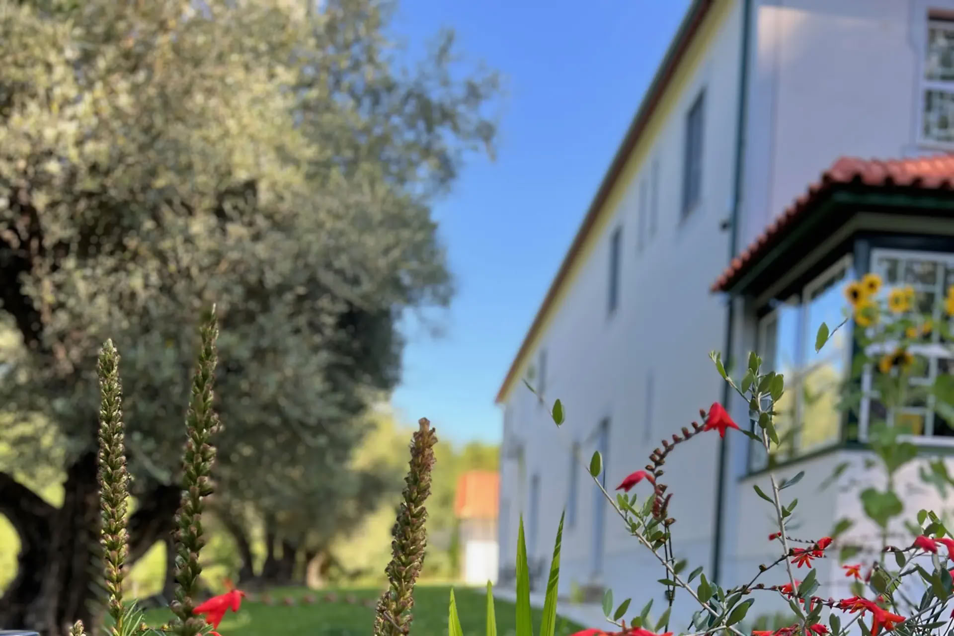 Retiro de Día para la Menopausia