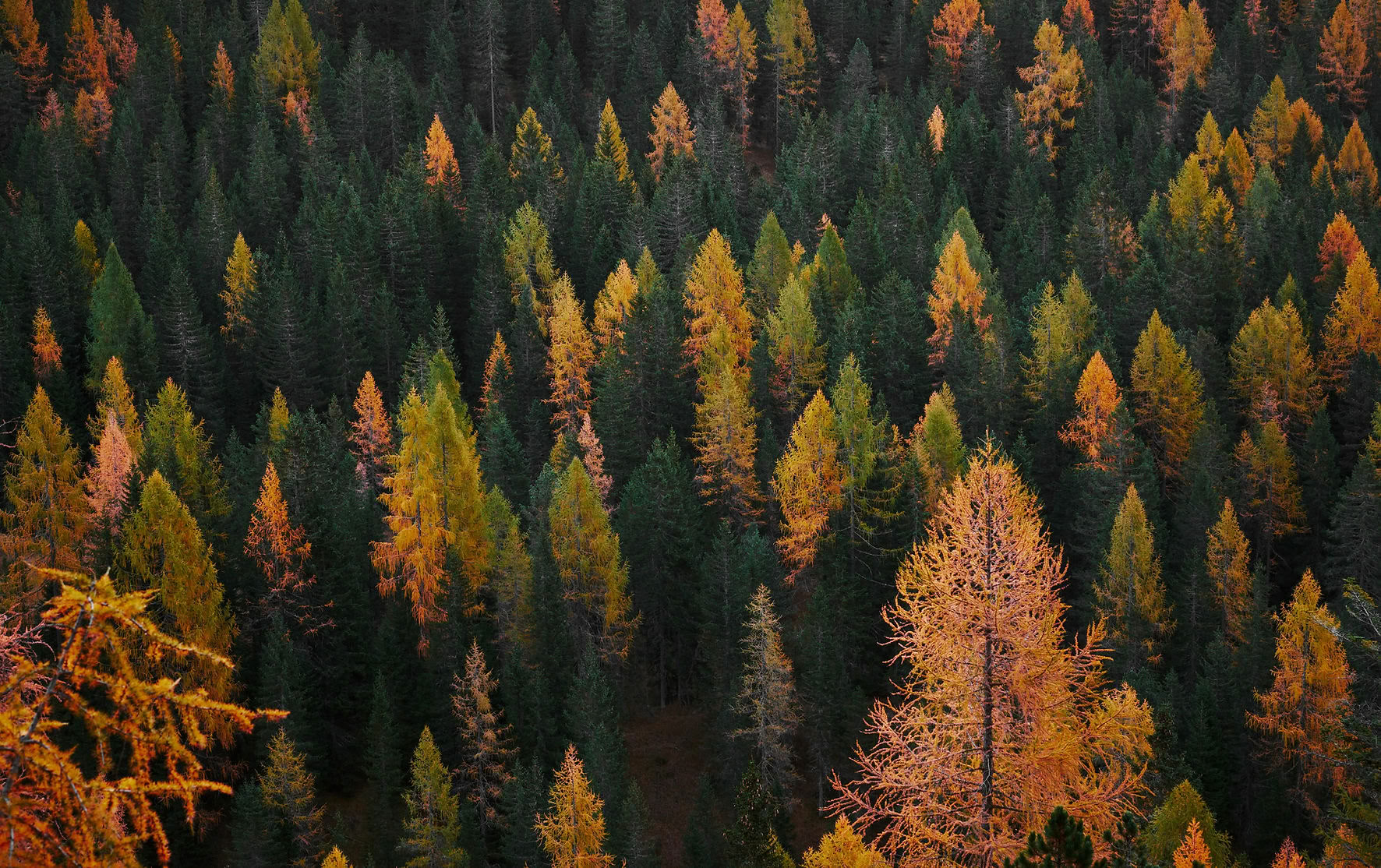 Retiro de la Tierra