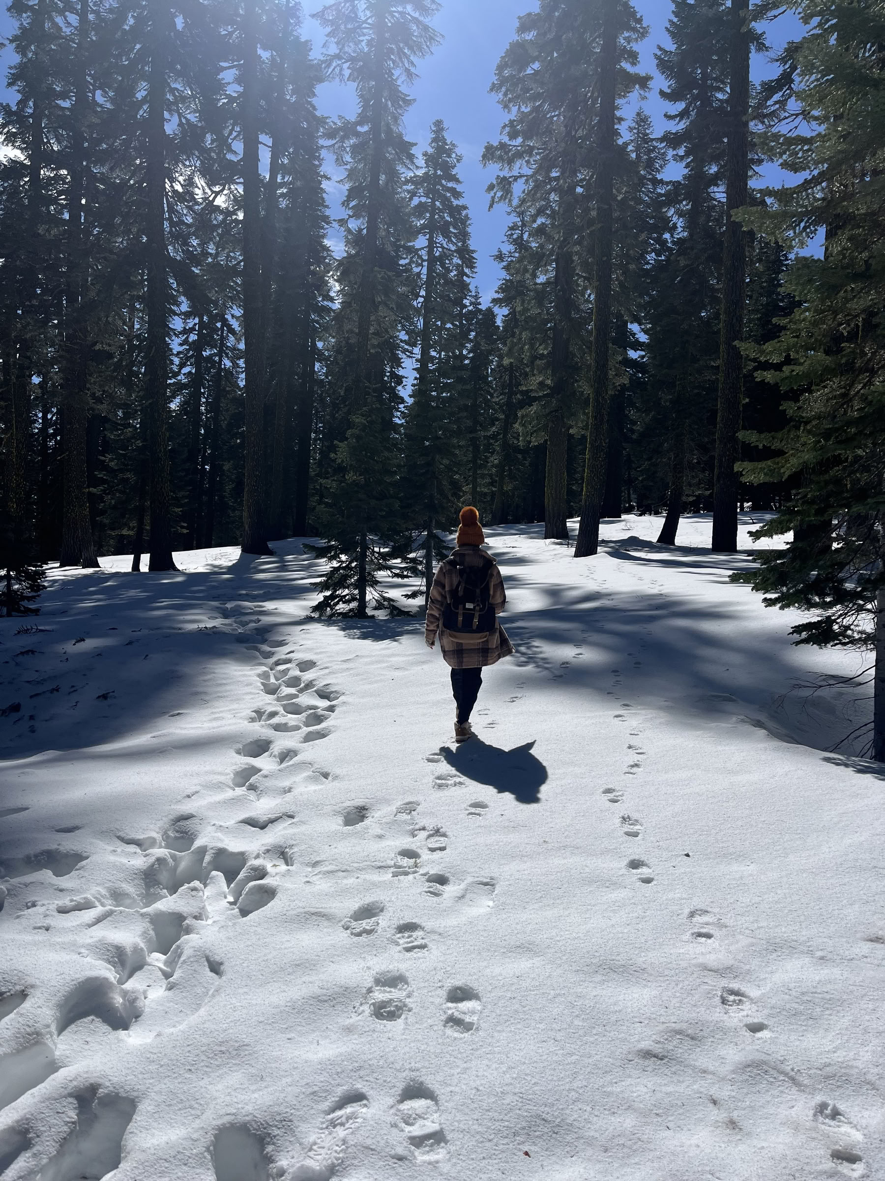 Retiro de profunda paz interior: Mt. Shasta, CA
