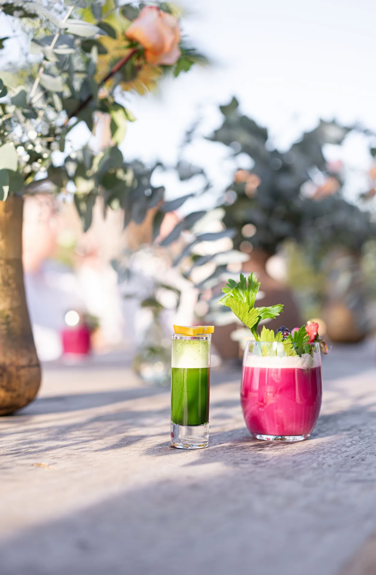 Detox Deluxe Retiro October