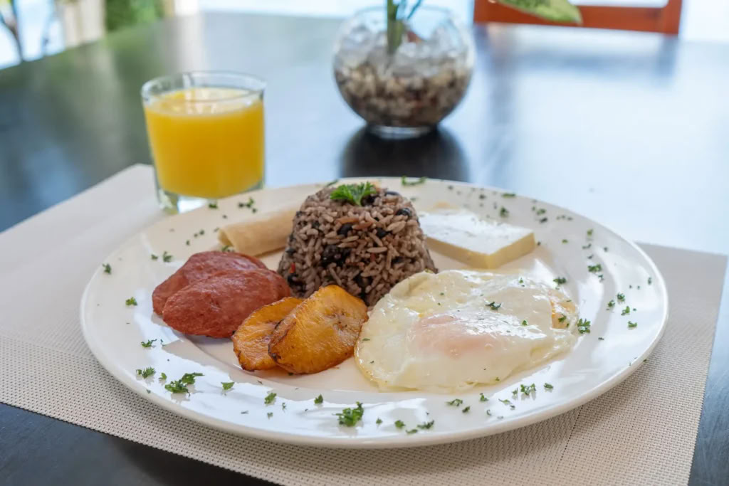 8 Día / 7 Noches – Retiro de Yoga y Bienestar Cerca de Tamarindo, CR – Solo Desayuno