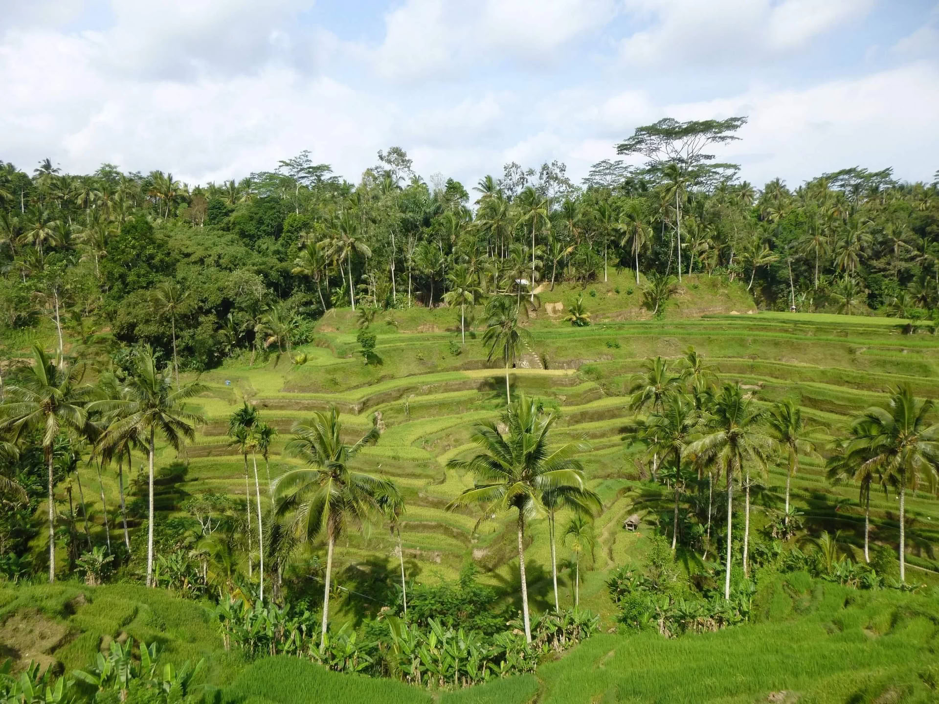 Me-Time. My Way. Retiro de bienestar en Bali
