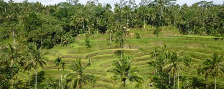 Me-Time. My Way. Retiro de bienestar en Bali