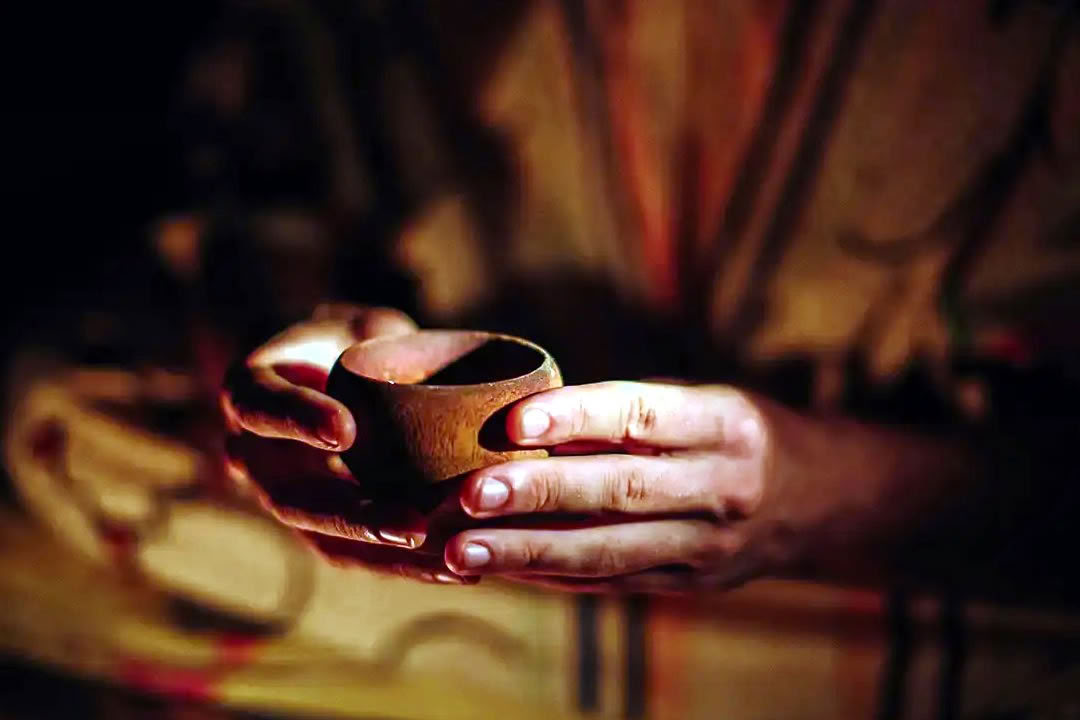 Retiro de Ayahuasca para Gay y LGBTQ