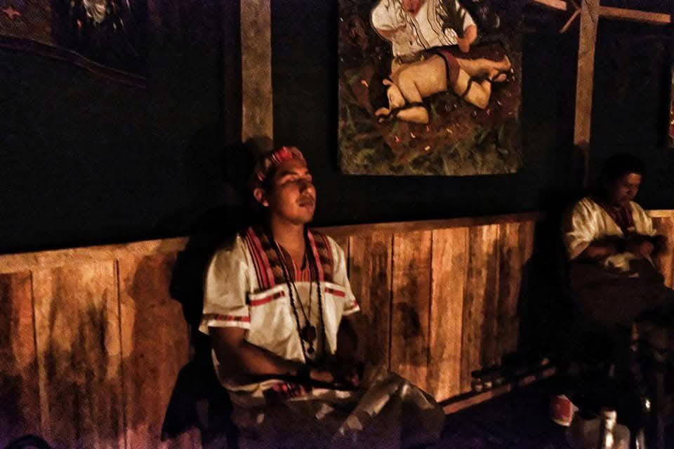 30 días Retiro de Ayahuasca 16 ceremonias y Dieta Iquitos-Perú