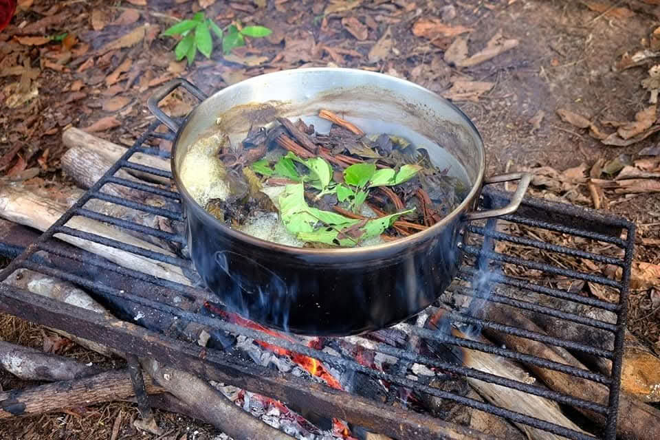 7 días Retiro de Ayahuasca Iquitos Perú