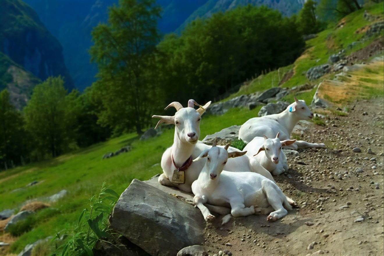 Retiro de yoga en Noruega