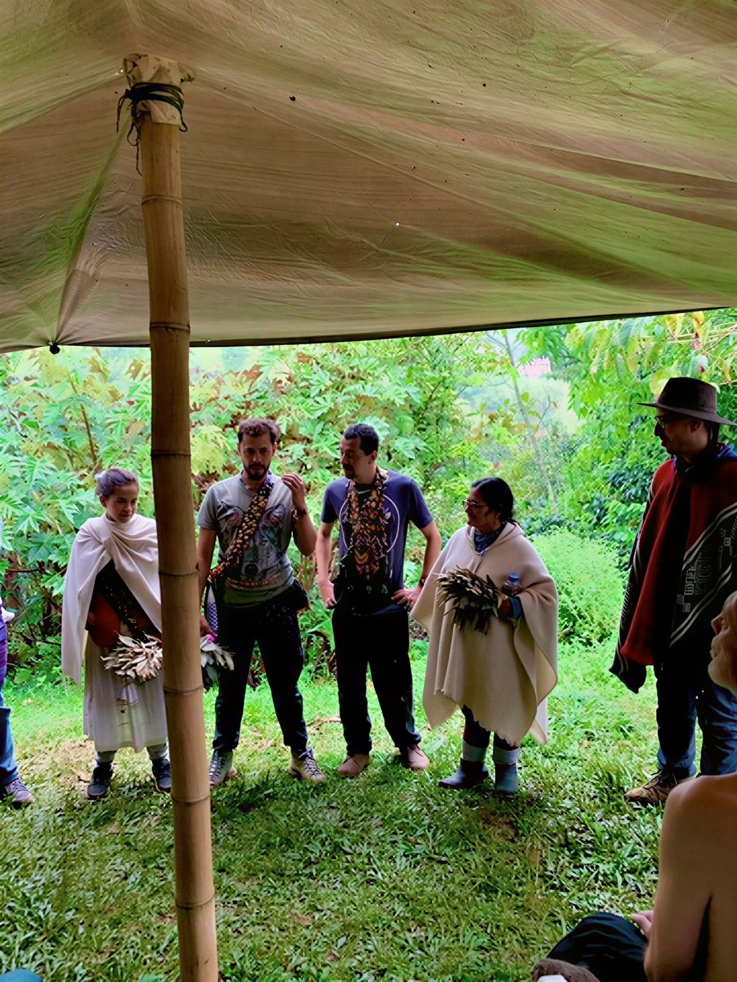 Ceremonia de Ayahuasca en Medellín